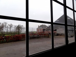 DSC08575